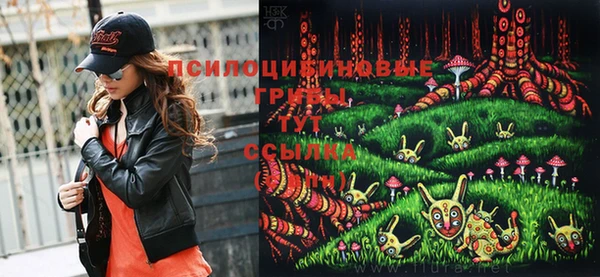 МДПВ Вязьма