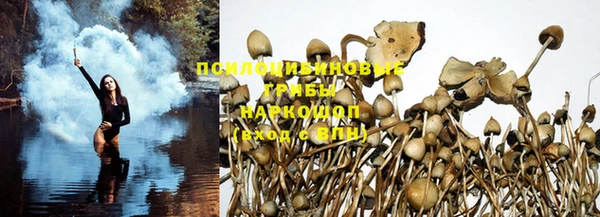 МДПВ Вязьма