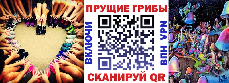 Галлюциногенные грибы мицелий  закладки  Таганрог 